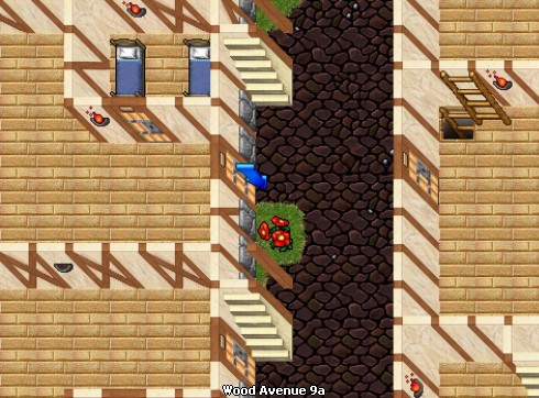 house image